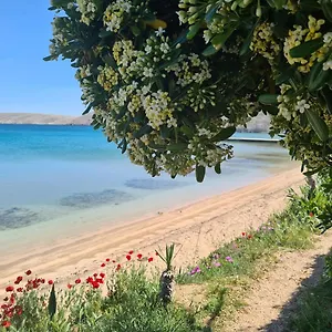 Simurina Vlašići